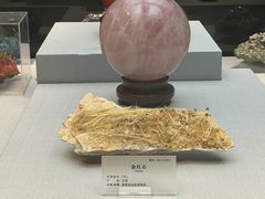 -湖南省地质博物馆