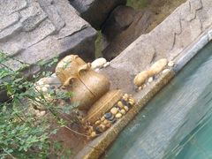 -万象温泉景区