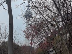 -龟山风景区-龟山电视塔