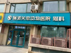 -瑞派·关忠动物医院·猫专科·犬专科(三环新城店)