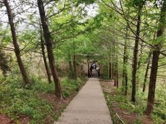 -东白山