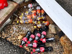 -大连天门山国家森林公园