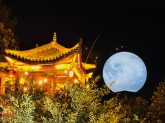 -巴倒烫陆派重庆火锅(南山店)