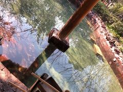 -苏州湾王焰温泉度假酒店