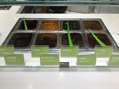 -Salud撒露欧洲冻酸奶(北苑上品店)
