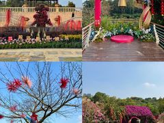 -东莞植物园