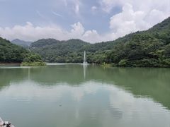 -广州白江湖森林公园