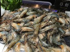 -加餐海鲜自助(宝龙一城店)