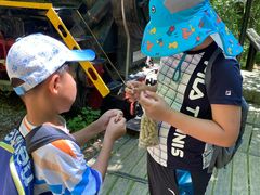 -五营红松林海景区