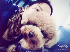 -菲丽丝宠物医院·24小时·猫科中心·免疫点(淮海分院)