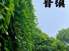 -鲁镇