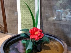 -古今茶语·峨眉山有机茶体验馆