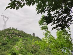 -北京鹫峰国家森林公园