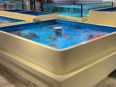 水产区-日进一片海.生腌海鲜火锅.宵夜烧烤(三里屯总店)