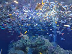 -成都浩海立方海洋公园