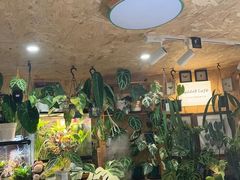 -Rabbit Cafe私房西餐甜点咖啡(栖霞路店)