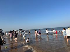 -日照海滨国家森林公园