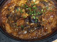-天天鱼港·海鲜·鲅鱼水饺·招牌烤鸭(黄骅店)