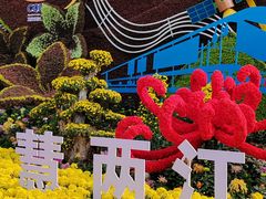 -南山植物园