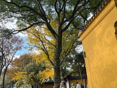 -灵岩山风景区