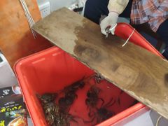 -阳澄湖大闸蟹·琼灵阁牌品牌连锁(吴中总店)