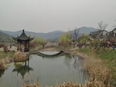 -青麦家·融合餐厅(江岛智立方店)