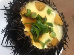 海胆蒸蛋-海胆小馆(东北水饺·春柳店)