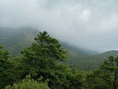 -凤凰山