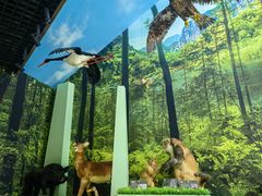 -房山世界地质公园博物馆