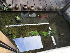 -几荷·恰似故人来(秀水广场店)