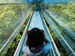 -鹿院坪生态旅游景区