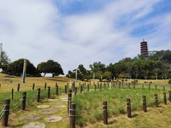 -红花山公园