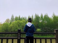 -昆山城市生态森林公园