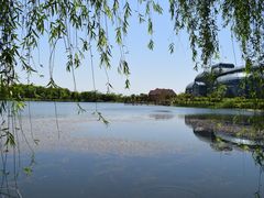 -大塘金香草谷