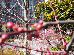 -上海港国际客运中心1号游艇码头