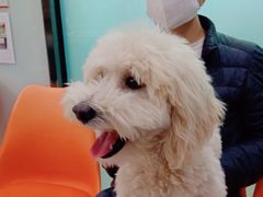 -纳吉亚猫专科动物医院博雅分院