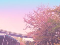 -上海南浦大桥长途旅游客运站