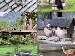 -宁波野生动物园