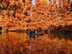 -上海海湾国家森林公园