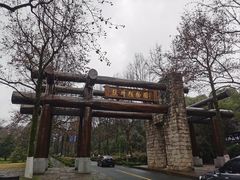 -杭州植物园