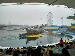 -秦皇岛乐岛海洋王国