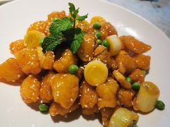 -悦海·家宴·冰花皮皮虾大锅贴(宝龙店)