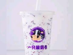 -一只酸奶牛(八一路店)