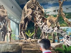 -自贡恐龙博物馆