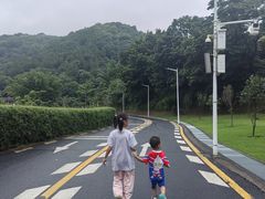 -黄埔油麻山森林公园