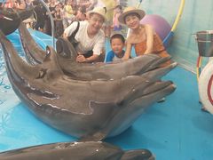 -尼莫海豚馆