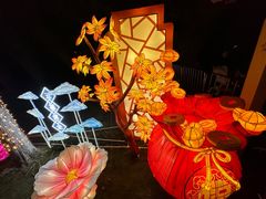-武汉园博园(武汉自然博物馆)