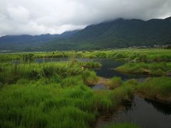 -腾冲北海湿地