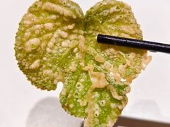 -阿露佳·舌尖上的安吉菜