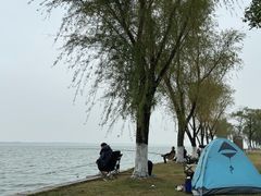 -阳澄湖半岛旅游度假区